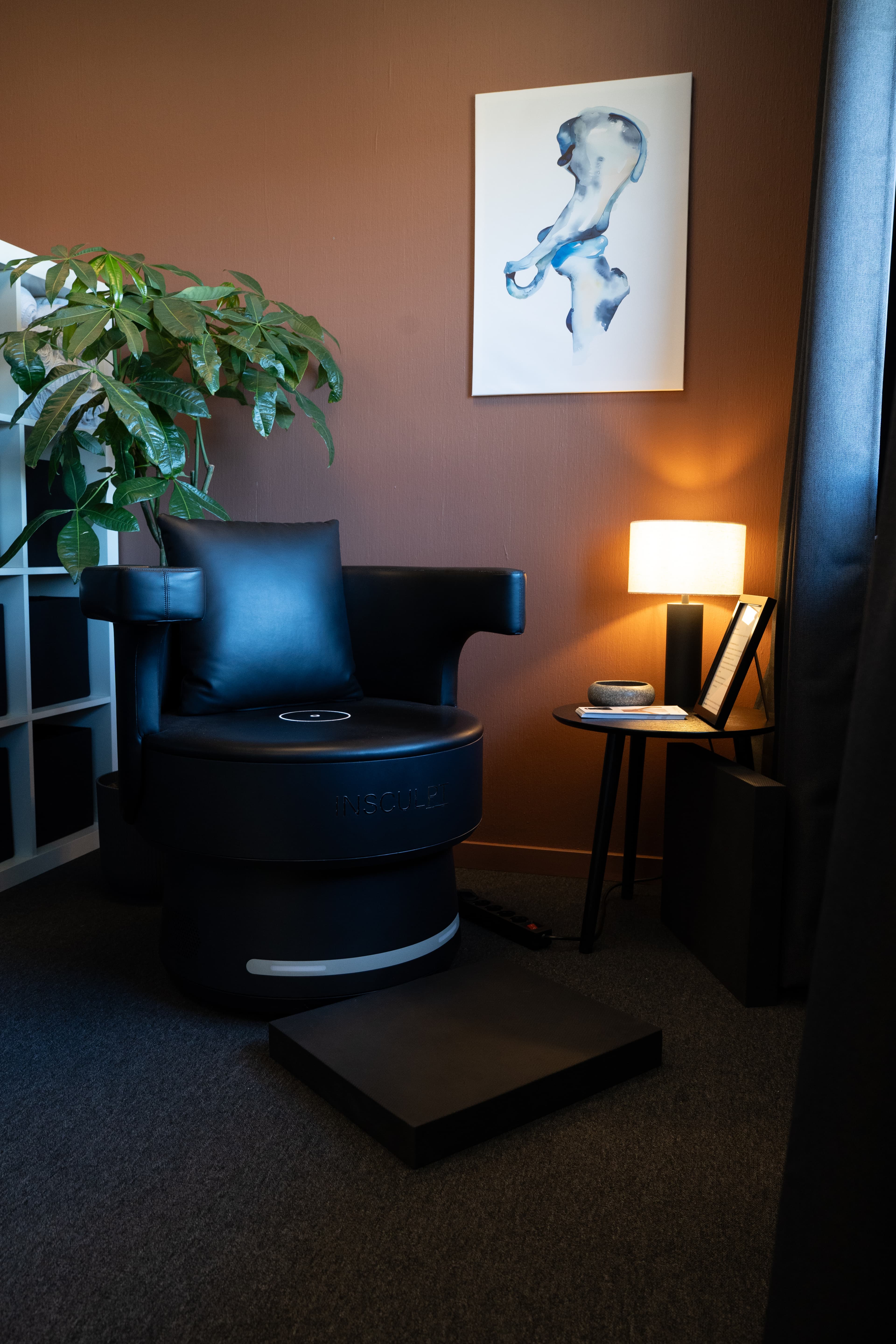 Intim helse behandling med Insculpt Chair+